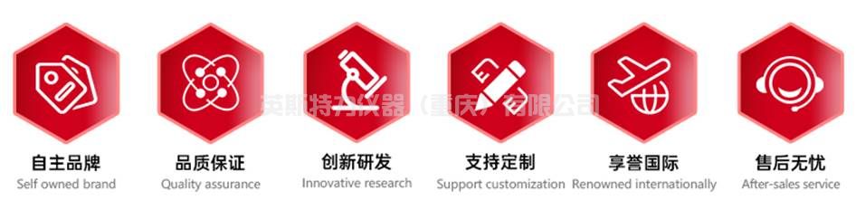 表面粗糙度儀 YSTR201(圖9)